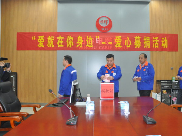 k8凯发集团电缆集团